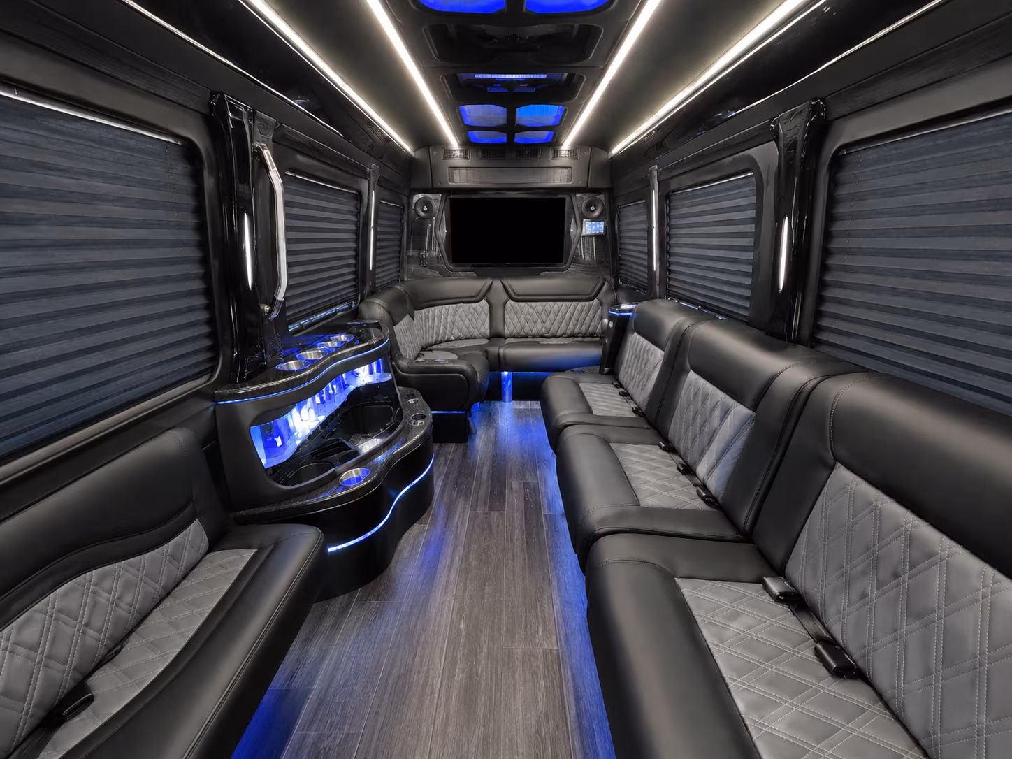 livonia 20 passenger party bus interior