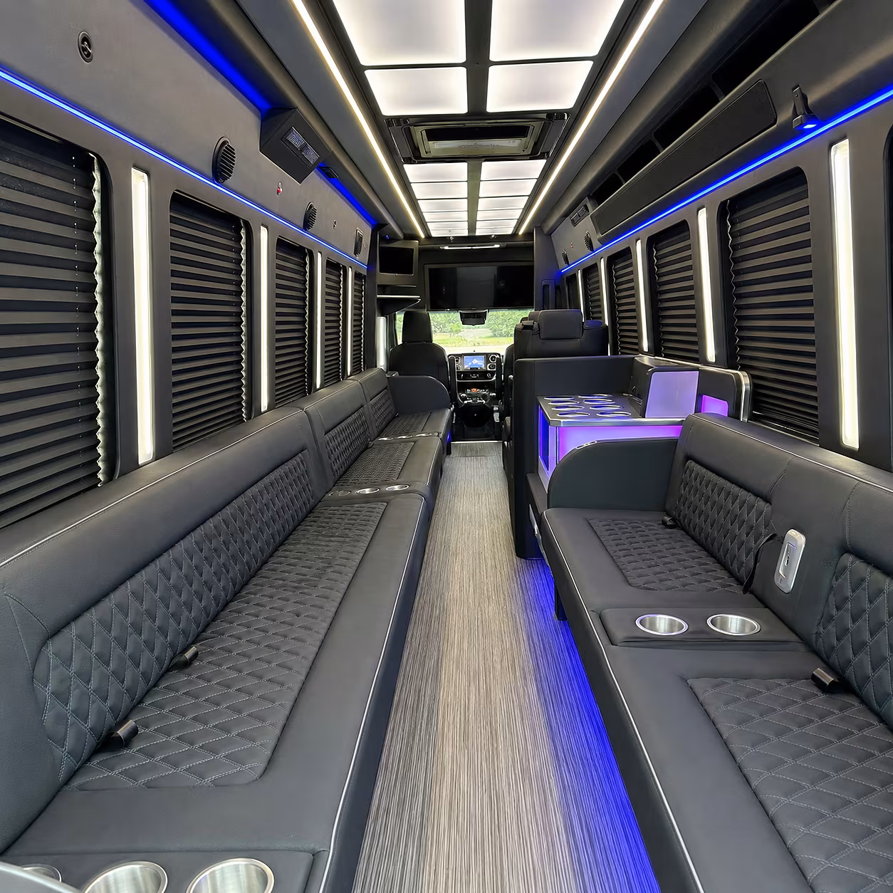 livonia party bus inside