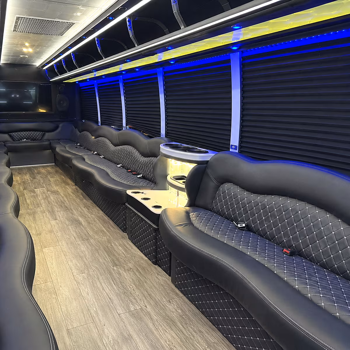 livonia party bus rental interior