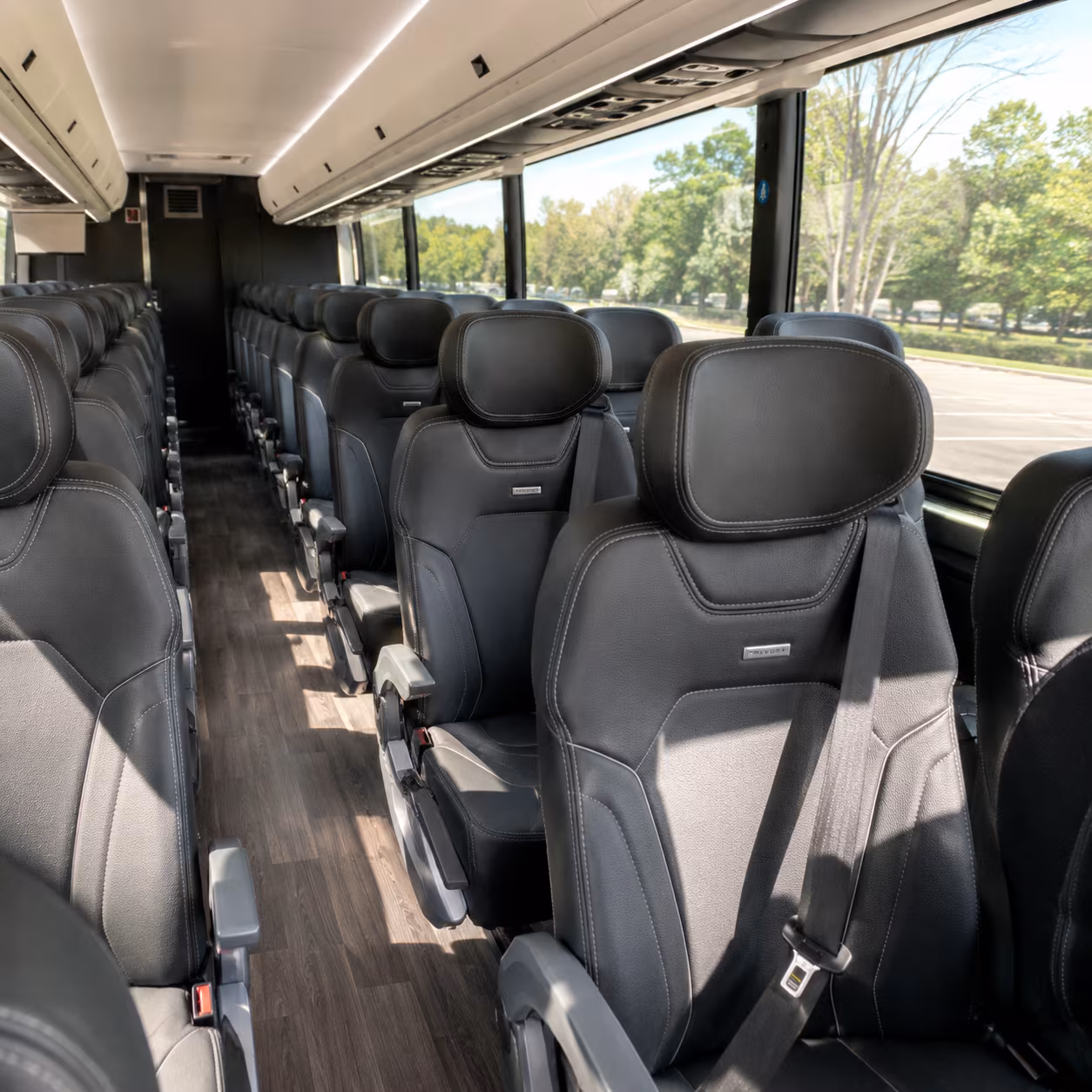 pilgrimage and shrine trip buses for livonia faith groups